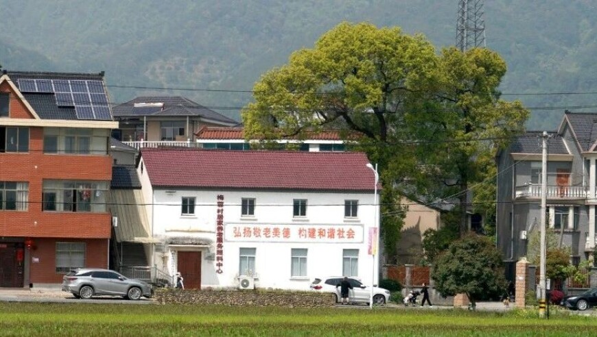 二四六天天彩246cn官方客服,男子开车撞伤女生因探病日久生情结婚,动态词语解释落实_精英版V4.64