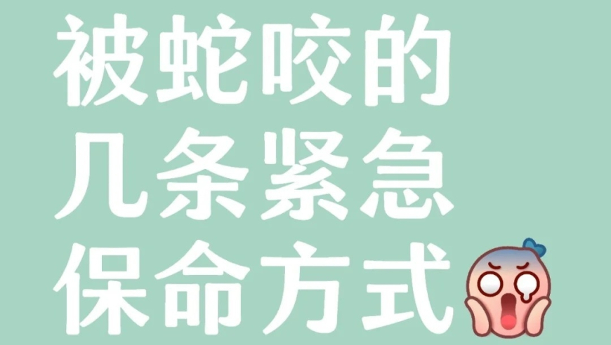 00后女生做无人机飞手年入40万,澳门49老版资料免费大全,重点解答解释落实_免费版V8.70