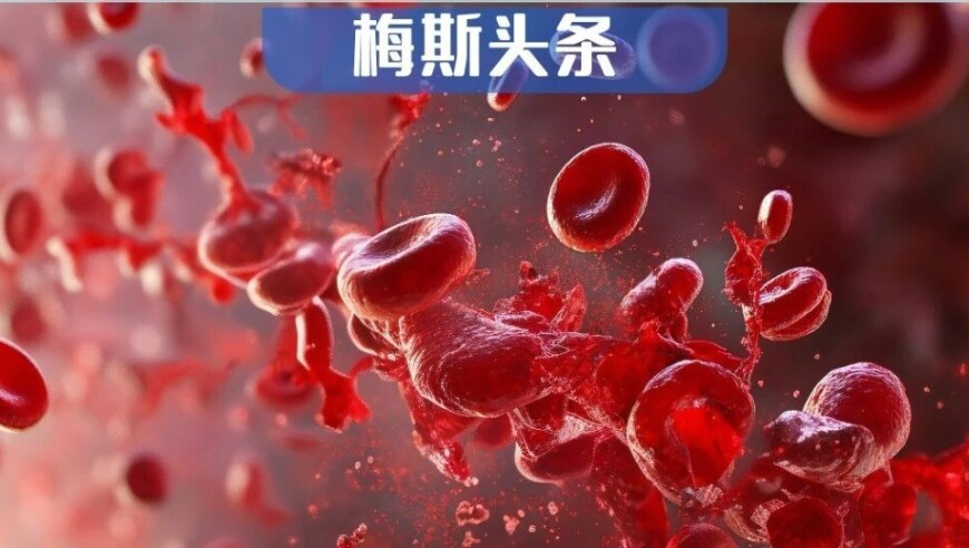 4924澳门开奖晚上开什么,苏醒薛之谦不熟的都不敢这么玩,作答解释落实的民间信仰_钱包版V6.24